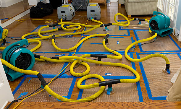 Professional Burst Pipe Water Damage technician working in Descanso, CA